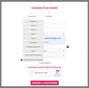 Modulo registrazione a The Moneytizer